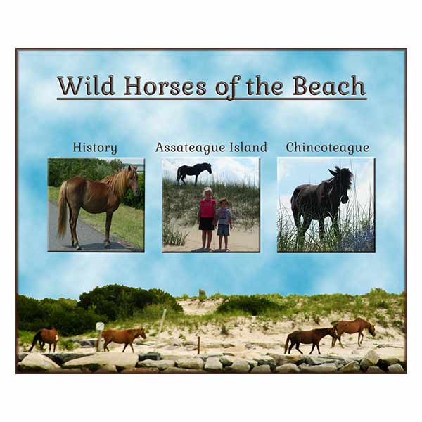 Wild horses cover